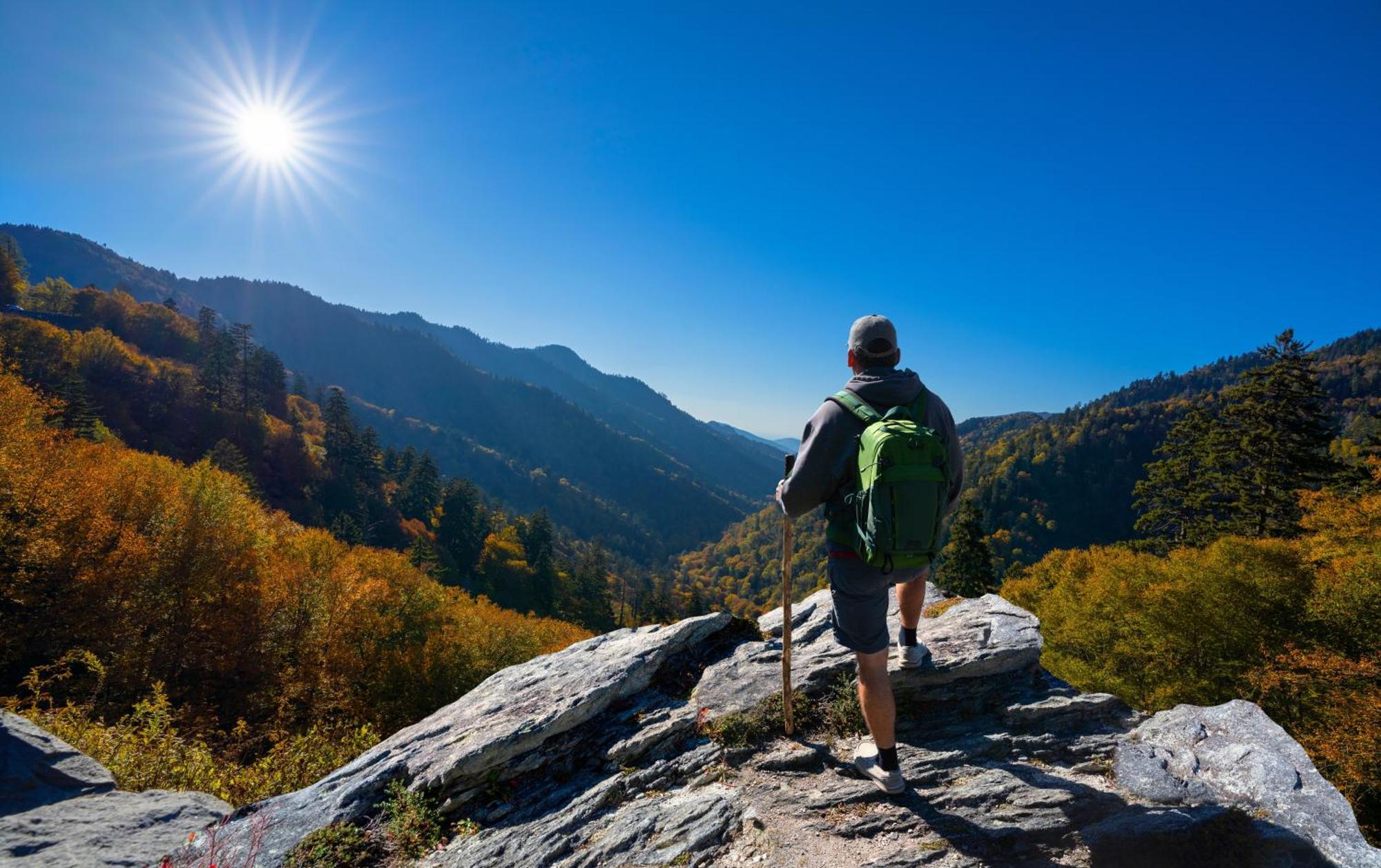 Smoky Bear Lodge With Guest House, Hot Tub, 1089 Free Tickets Each Paid Day, Dollywood And More Сев'єрвілл Екстер'єр фото