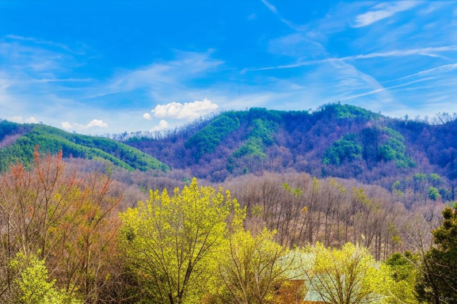 Smoky Bear Lodge With Guest House, Hot Tub, 1089 Free Tickets Each Paid Day, Dollywood And More Сев'єрвілл Екстер'єр фото