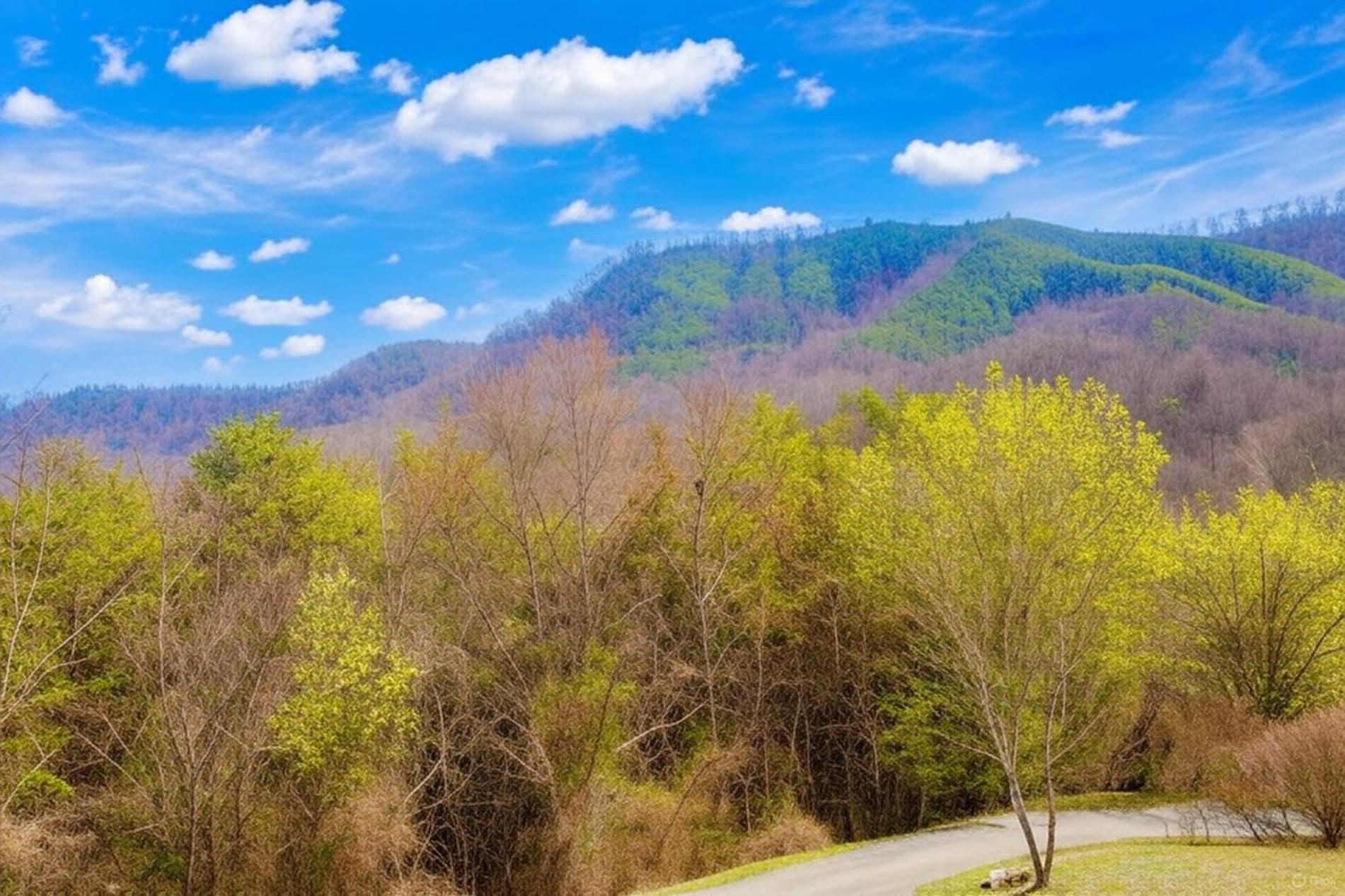 Smoky Bear Lodge With Guest House, Hot Tub, 1089 Free Tickets Each Paid Day, Dollywood And More Сев'єрвілл Екстер'єр фото